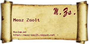 Mesz Zsolt névjegykártya